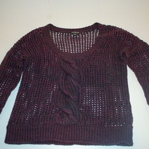 Express Knit Sweater